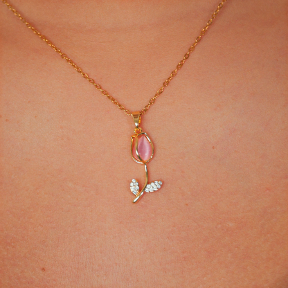 Set Tulipán Rosa